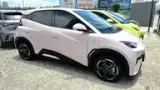 BYD Dolphin Mini - Miniatura 2
