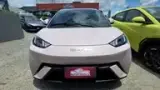 BYD Dolphin Mini - Miniatura 3