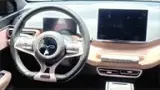 BYD Dolphin Mini - Miniatura 11