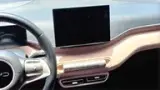 BYD Dolphin Mini - Miniatura 13