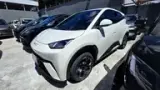 BYD Dolphin Mini - Miniatura 5