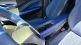 BYD Dolphin Mini - Miniatura 16