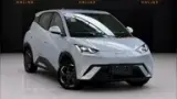 BYD Dolphin Mini - Miniatura 1