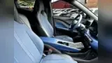 BYD Dolphin Mini - Miniatura 11