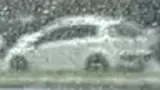 BYD Dolphin Mini - Miniatura 13