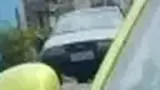 BYD Dolphin Mini - Miniatura 2