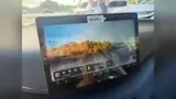 BYD Dolphin Mini - Miniatura 12