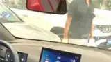 BYD Dolphin Mini - Miniatura 6