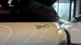 BYD Dolphin - Miniatura 10