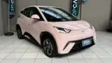BYD Dolphin Mini - Miniatura 1