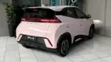 BYD Dolphin Mini - Miniatura 5