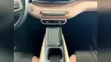 BYD Dolphin Mini - Miniatura 14