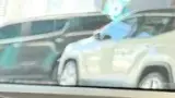 BYD Dolphin Mini - Miniatura 15