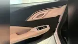 BYD Dolphin Mini - Miniatura 17