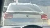 BYD Dolphin Mini - Miniatura 6