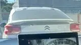 BYD Dolphin Mini - Miniatura 11