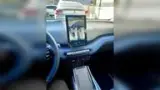 BYD Dolphin Mini - Miniatura 12