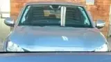 BYD Dolphin Mini - Miniatura 6