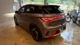BYD Dolphin Plus - Miniatura 5