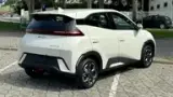BYD Dolphin Mini - Miniatura 5