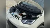 BYD Dolphin Mini - Miniatura 9