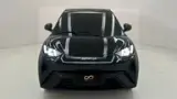 BYD Dolphin Mini - Miniatura 1