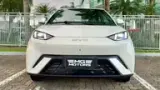 BYD Dolphin Mini - Miniatura 4