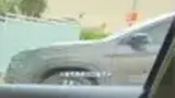 BYD Dolphin Mini - Miniatura 9