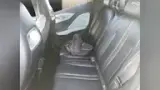 BYD Dolphin Mini - Miniatura 12