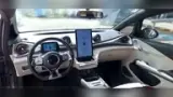 BYD Dolphin - Miniatura 11