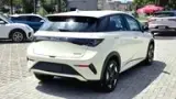 BYD Dolphin - Miniatura 8