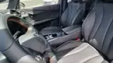 BYD Dolphin - Miniatura 16