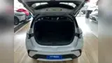 BYD Dolphin Plus - Miniatura 6