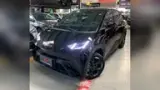 BYD Dolphin Mini - Miniatura 1