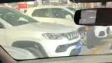 BYD Dolphin Mini - Miniatura 10