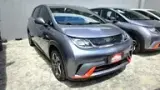 BYD Dolphin - Miniatura 1