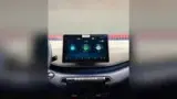 BYD Dolphin Mini - Miniatura 5