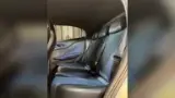 BYD Dolphin Mini - Miniatura 8