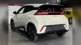 BYD Dolphin Mini - Miniatura 10