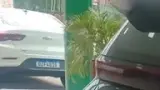BYD Dolphin Mini - Miniatura 6