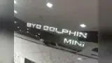 BYD Dolphin Mini - Miniatura 19