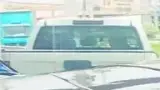 BYD Dolphin Mini - Miniatura 20
