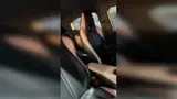 BYD Dolphin Mini - Miniatura 6