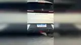 BYD Dolphin Mini - Miniatura 7