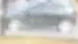 BYD Dolphin - Miniatura 2