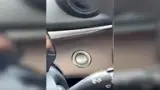BYD Dolphin - Miniatura 5