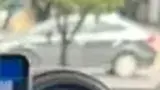 BYD Dolphin - Miniatura 6