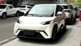 BYD Dolphin Mini - Miniatura 2