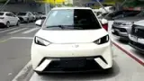 BYD Dolphin Mini - Miniatura 3