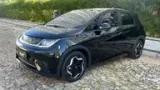 BYD Dolphin - Miniatura 9